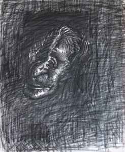S/T. Charcoal on paper 24 x 20 cm. Private collection.